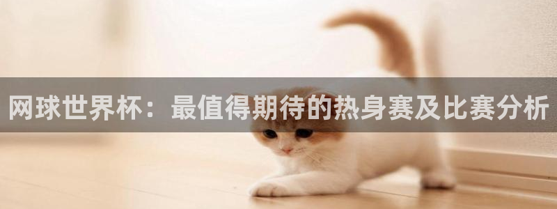 网球世界杯：最值得期待的热身赛及比赛分析