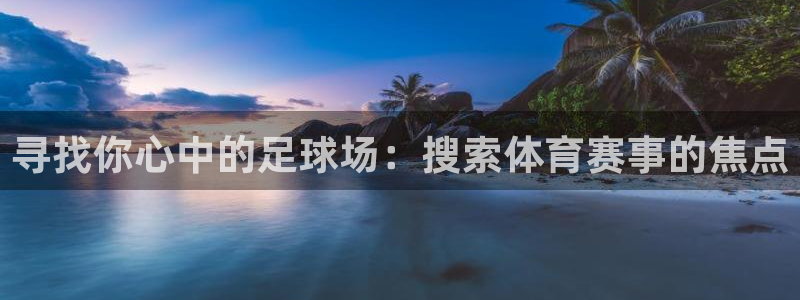 寻找你心中的足球场：搜索体育赛事的焦点
