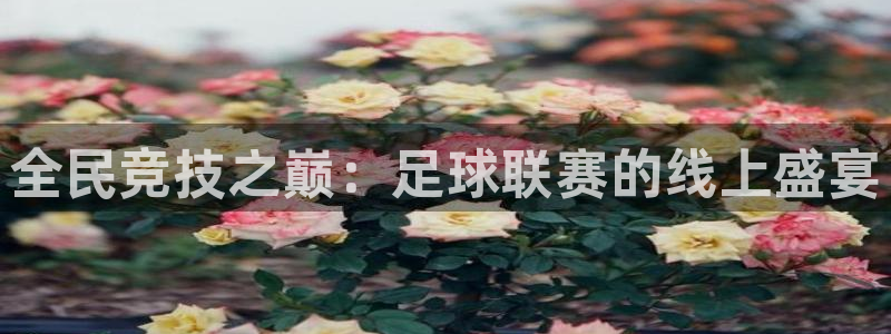 全民竞技之巅：足球联赛的线上盛宴