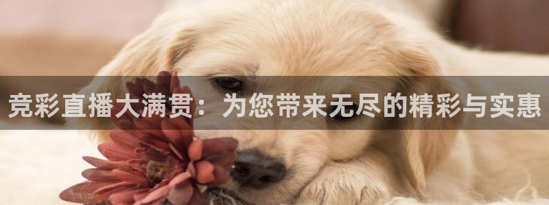竞彩直播大满贯：为您带来无尽的精彩与实惠